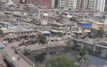Supreme Court Clears Redevelopment of Bharat Nagar Slums