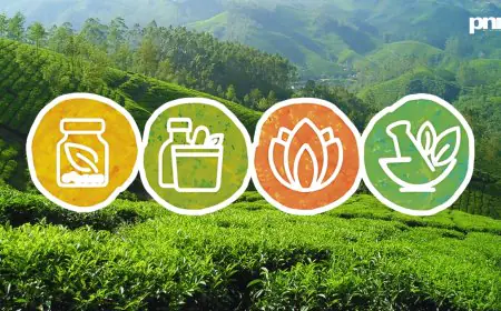 India’s Healing Comeback: How AYUSH Is Quietly Winning the Healthcare Game with Ancient Wisdom