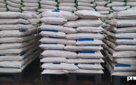 India’s Massive Fertiliser Crackdown Ensures Fair Supply in 2025