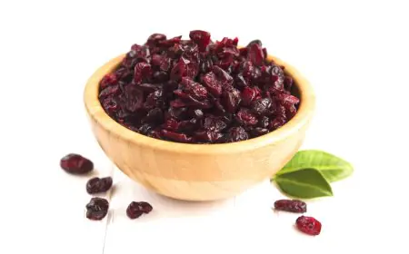Beyond the Belly: How Cranberries Strengthen the Gut from Within